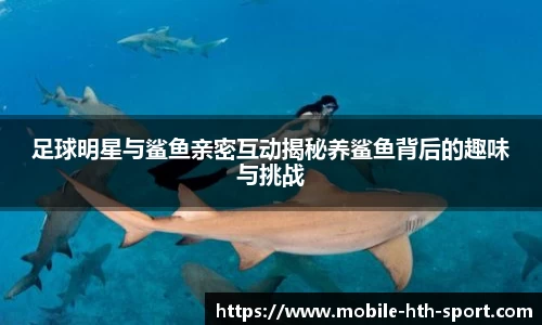 足球明星与鲨鱼亲密互动揭秘养鲨鱼背后的趣味与挑战